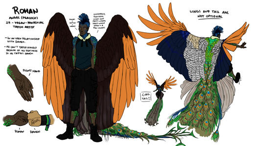 Basic ref with detail shots (+1 extra) + 1 fullbody