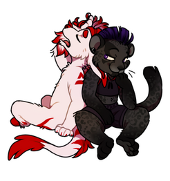 Double regular cheeb
